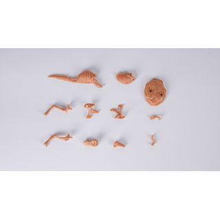 TOYS  กล่องสุ่มฟอสซิลไดโนเสาร์ขุดเหมือง