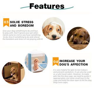 DUDUPETS ของเล่นสัตว์เลี้ยง รุ่นWP21 ขนาด 7X7X34ซม.สีฟ้า