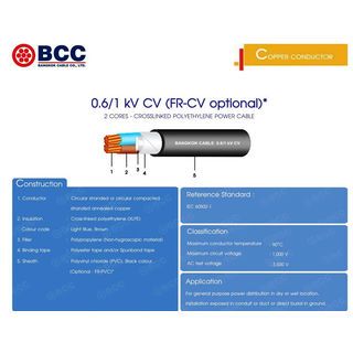 BCC สายไฟ CV 2x4 SQ.MM. 100ม. สีดำ