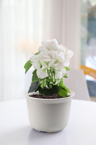 Tree’ O กระถางต้นไม้ รุ่น 6PY002-WH  ขนาด 21.8 x 21.8 x 15 ซม. (8นิ้ว) สีขาว