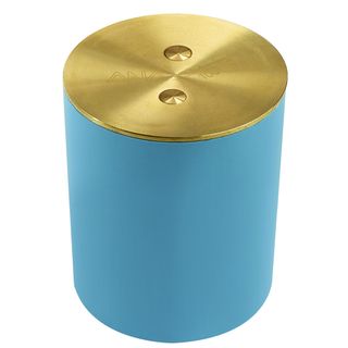 ANA ชุดฝาส้วม clean out+ท่อ PVC รุ่น Clean Out ขนาด 4 นิ้ว สีทอง