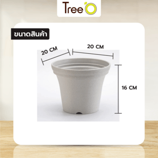 Tree  O กระถางต้นไม้ รุ่น 6PY018-WH ขนาด 20 x 20 x 16 ซม. (8นิ้ว) สีขาว