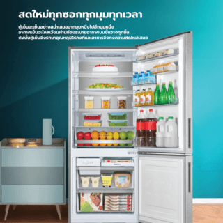 HISENSE ตู้เย็น 2 ประตู ขนาด 14.7 คิว รุ่น RB556N4TGN สีเงิน