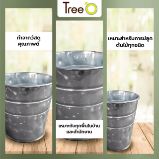 Tree O กระถางสังกะสี ขนาด 15ซม. รุ่น6YT006-1