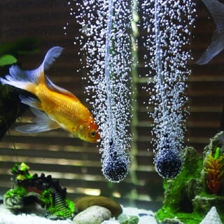 BOYU ปั๊มออกซิเจน รุ่นCJY-4500A ขนาด3.3W Qmax3.5L/H สีดำขาว