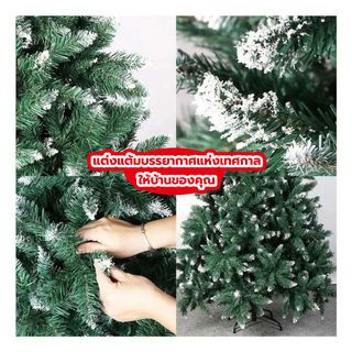 Tree O ต้นคริสต์มาส รุ่นCT026 ขนาด78×78×180ซม. สีเขียว