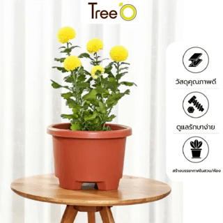 Tree  O กระถางต้นไม้ รุ่น 6PY007-GY ขนาด 27 x 27 x 18.5 ซม. (12นิ้ว) สี แดงอิฐ