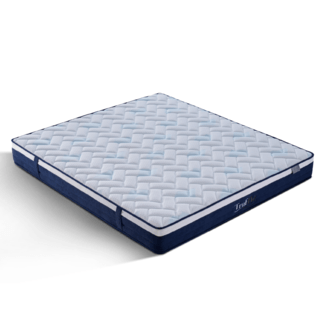 Truffle ที่นอนพ็อกเก็ตสปริง รุ่น Angelina ขนาด 180x200x21 ซม. (6ฟุต) สีขาว-น้ำเงิน