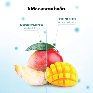 HISENSE ตู้เย็น 2 ประตู ขนาด 14.7 คิว รุ่น RB556N4TGN สีเงิน