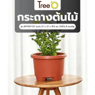 Tree  O กระถางต้นไม้ รุ่น 6PY007-GY ขนาด 27 x 27 x 18.5 ซม. (12นิ้ว) สี แดงอิฐ