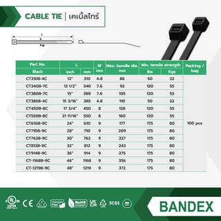 BANDEX เคเบิ้ลไทร์ ขนาด 3 นิ้ว รุ่น CT075B-2C-MT100 สีดำ