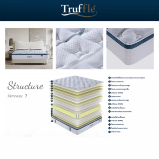 Truffle ที่นอนพ็อกเก็ตสปริงเสริมยางพารา รุ่น Petunia ขนาด 180x200x29 ซม. (6ฟุต) สีขาว-น้ำเงิน