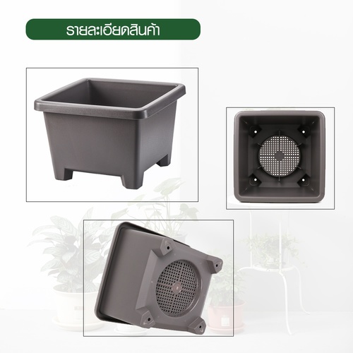 Tree’ O กระถางต้นไม้ รุ่น PY-2008GY ขนาด 27.6 x 27.6 x 19 ซม. (12นิ้ว) สีเทา