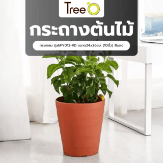 Tree‘O กระถางต้นไม้ทรงกลม รุ่น6PY012-RD ขนาด24x26ซม. (10นิ้ว) สีแดง
