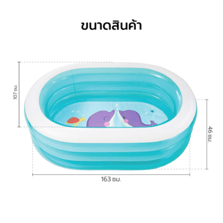 INTEX สระว่ายน้ำเป่าลมทรงวงรี รุ่น 57482NP ขนาด 163x107x46 ซม. สีฟ้า
