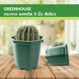 GREENHOUSE กระถาง แคคตัส 3 นิ้ว สีเขียว