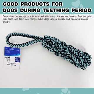 DUDUPETS ของเล่นสัตว์เลี้ยง รุ่นWP21 ขนาด 7X7X34ซม.สีฟ้า