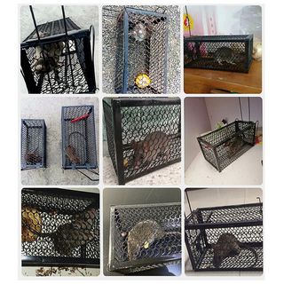 TREE O กรงดักหนูใหญ่ รุ่น LY03 ขนาด 18x38x18 ซม. สีดำ