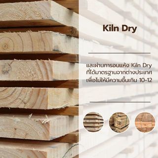 ประตู รุ่น Eco Pine - 002 (สนNZ) ขนาด 80x200 cm.