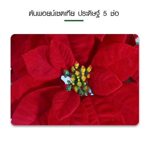 Tree O ต้นพอยน์เซตเทีย ประดิษฐ์ 5 ช่อ รุ่น MC001 ขนาด 33*40*50ซม. สีแดง