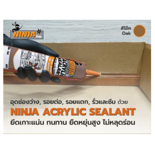 BESBOND นินจาแด๊ป อะคริลิค ซีลแลนท์ 450 กรัม สีโอ๊ค 