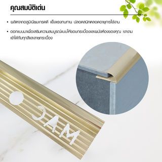 MAC คิ้วกระเบื้องอลูมิเนียม แบบโค้ง ขนาด 12 มม. ยาว 2 เมตร รุ่นDS-06-PG สีทองเงา