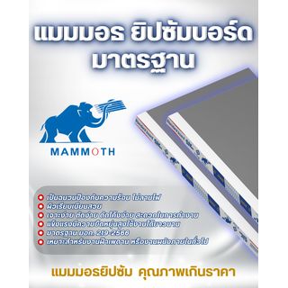 MAMMOTH ยิปซั่มบอร์ด รุ่นมาตรฐาน 0.9x120x240 ซม.ขอบลาด