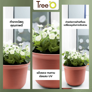 Tree’ O กระถางต้นไม้ รุ่น 6PY006-RD ขนาด 30.6 x 30.6 x 21 ซม. (12นิ้ว) สี แดงอิฐ