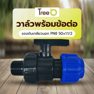 Tree’O วาล์วพร้อมข้อต่อแรงดันเกลียวนอก PN8 50x1.1/2