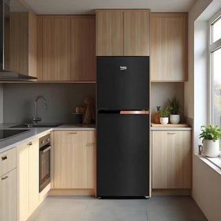 BEKO ตู้เย็น 2 ประตู ขนาด 7.4 คิว รุ่น RDNT231I50K สี DARK INOX