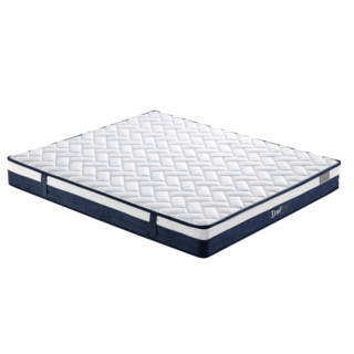 Truffle ที่นอนพ็อกเก็ตสปริง รุ่น Angelina ขนาด 180x200x21 ซม. (6ฟุต) สีขาว-น้ำเงิน