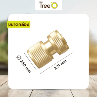 Tree’O Plus ข้อต่อสวมเร็ว ทองเหลือง รุ่นDY8010C ขนาด1/2” สีทอง