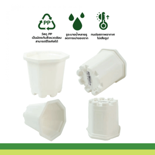 GREENHOUSE กระถาง แคคตัส 3 นิ้ว สีขาว