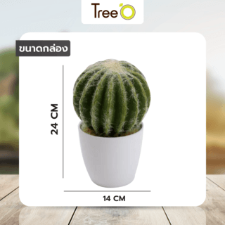 แคคตัสประดิษฐ์  XJLRD-21XRQ สูง 24CM