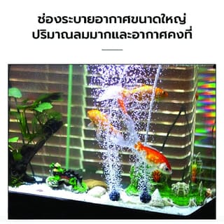 BOYU ปั๊มออกซิเจน รุ่นCJY-4500A ขนาด3.3W Qmax3.5L/H สีดำขาว