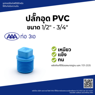 AAA ปลั๊กอุด 1/2