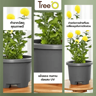 Tree  O กระถางต้นไม้ รุ่น 6PY007-GY ขนาด 27 x 27 x 18.5 ซม. (12นิ้ว) สีเทา