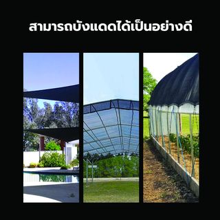 POLLO สแลน HDPE 80% รุ่นSH1101-65  ขนาด2X100M 80%(หนึ่งเข็ม) สีดำ