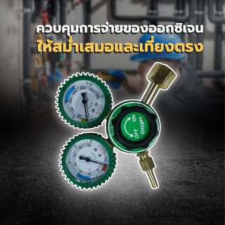 BISON เกจ์วัดแรงดันลม (Oxygen) สีเขียว 