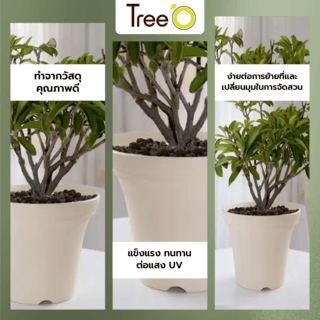 Tree’ O กระถางต้นไม้ รุ่น 6PY020-BE ขนาด 30 x 30 x 24 ซม. (12นิ้ว) สีน้ำตาลอ่อน