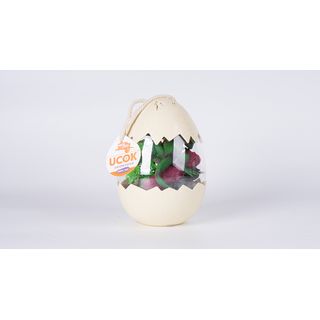 TOYS  ชุดสัตว์แมลงและสัตว์เลื่อยคลาน 12 ชิ้น