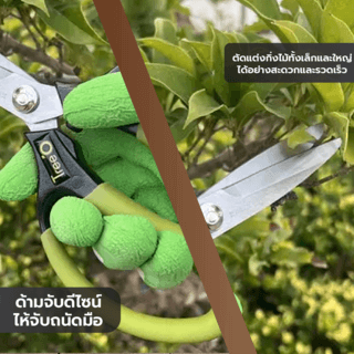 Tree’O กรรไกรแต่งกิ่งเล็ก รุ่นTL2062 ขนาด8-5/8 สีเขียว
