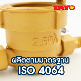 TAYO มิเตอร์น้ำ 1/2นิ้ว  ABS รุ่น MSP15 สีทอง