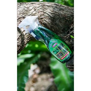 GOLDEN FLOWERS ปุ๋ยอินทรีย์ สูตรเร่งใบ เร่งต้น เร่งราก Foggy 500cc.