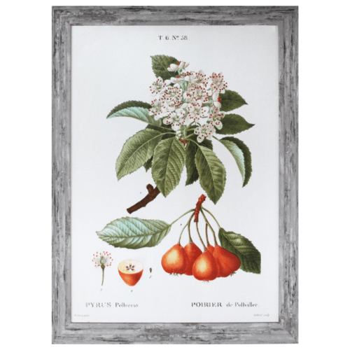 กรอบรูป ขนาด A3 วินเทจ สีBrush Dark Grey