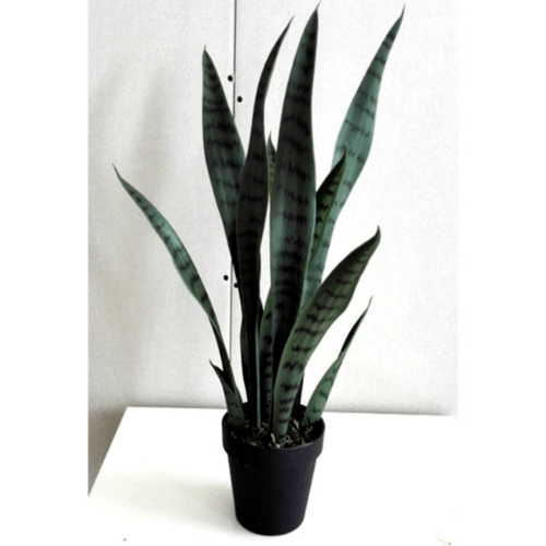 TreeO ต้นลิ้นมังกร ประดิษฐ์  สูง 50CM รุ่น AL17T090 สีเขียว