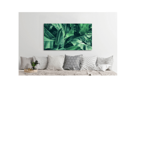 รูปภาพพิมพ์ผ้าใบ Plant C9050-2 ขนาด  90x50ซม. (ก.xส.) NICE  (ใบกล้วย)