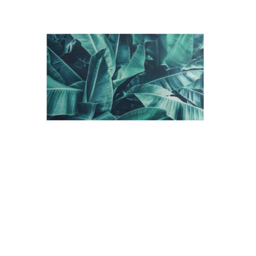 รูปภาพพิมพ์ผ้าใบ Plant C9050-2 ขนาด  90x50ซม. (ก.xส.) NICE  (ใบกล้วย)