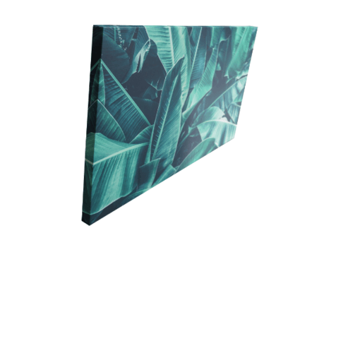 รูปภาพพิมพ์ผ้าใบ Plant C9050-2 ขนาด  90x50ซม. (ก.xส.) NICE  (ใบกล้วย)