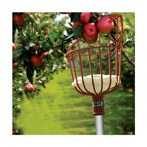 Tree’O ที่สอยผลไม้ รุ่นTL3102 ขนาด33ซม. สีแดง